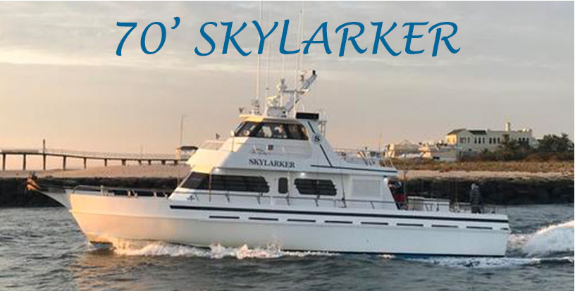 Skylarker Pary boat belam