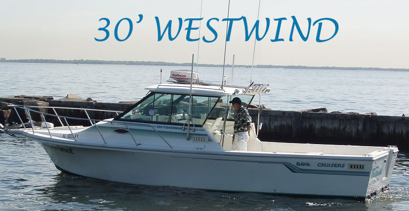 Weswind boat